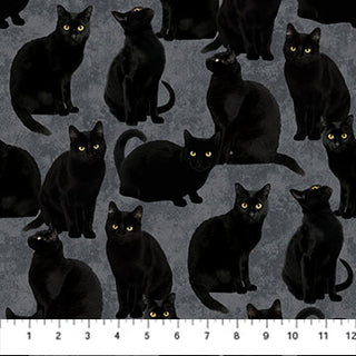 Northcott Fabrics Hallow's Eve Black Cats Gray Black