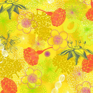 Windham Fabrics Bright World by Sharon Virtue Bright Sun in Botanical
